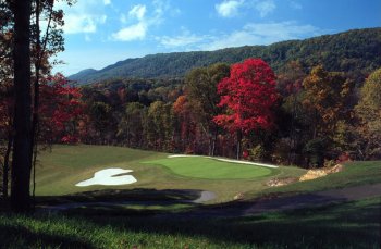 Description: Description: Description: Description: Description: cattails2.jpg (21904 bytes)